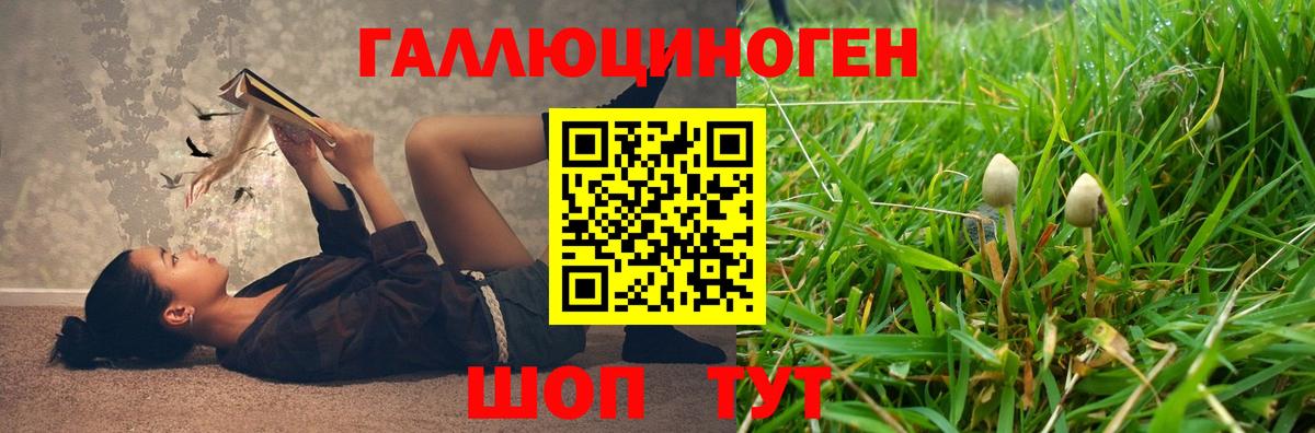 Псилоцибиновые грибы Magic Shrooms  Вход с VPN  купить наркотик  Соликамск 