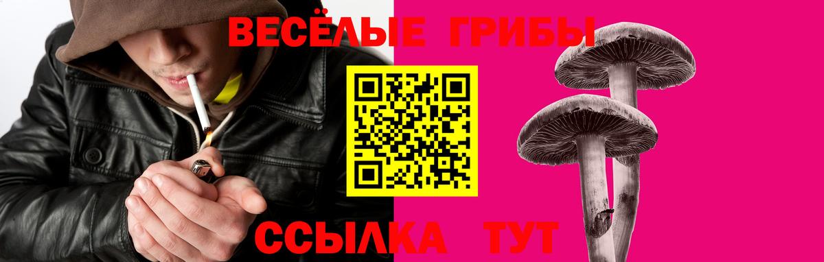 Галлюциногенные грибы ЛСД Соликамск
